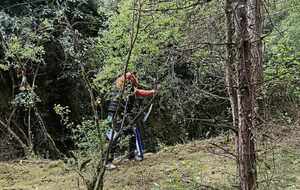 le champion dans ces oeuvres😁